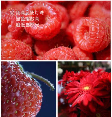 永諾 YN-10800 機頂LED持續燈調光版 大面積補光 可調色溫 補光燈 硬光燈珠 棚燈 攝影燈：圖片 8