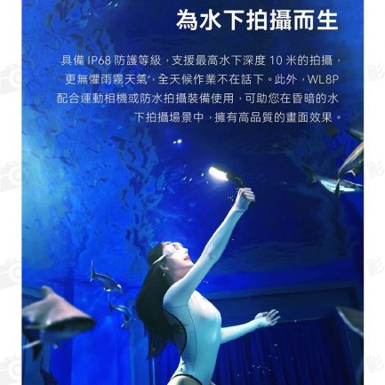 【Godox神牛 WL8P 防水LED燈】10W雙色溫 IP68 10m防水 手機APP控制 水下攝影補光 ※開年公司貨：圖片 6