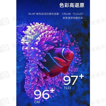 【Godox神牛 WL8P 防水LED燈】10W雙色溫 IP68 10m防水 手機APP控制 水下攝影補光 ※開年公司貨：圖片 8