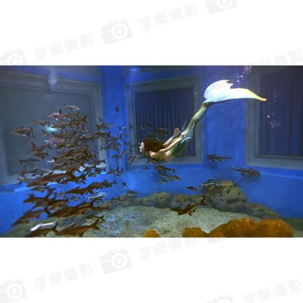 【Godox神牛 WL8P 防水LED燈】10W雙色溫 IP68 10m防水 手機APP控制 水下攝影補光 ※開年公司貨：圖片 25