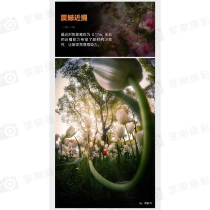 【TTArtisan銘匠光學 11mm F2.8 Canon RF】全畫幅 手動鏡頭 魚眼鏡頭 星空 銀河 攝影 EOSR RP R5 R5C R6 R6ii Fisheye Lens：圖片 18