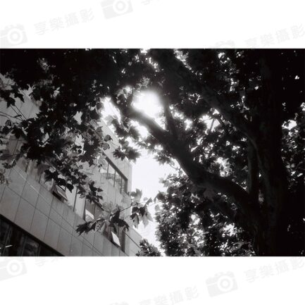 【樂信練習曲ETUDE PAN 400 135 黑白負片】400度 36張 黑白膠捲 LOMO black and white negative film：圖片 6