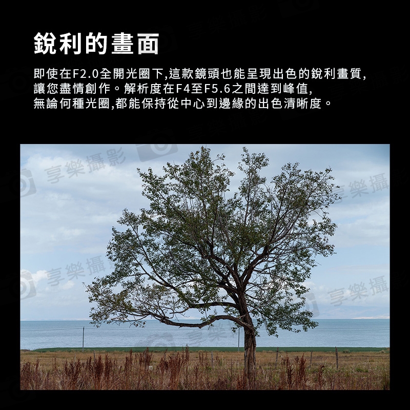 Viltrox 唯卓仕 AF 85mm F2.0 EVO Z-mount 全片幅 自動對焦鏡頭 適用Nik:圖片 14